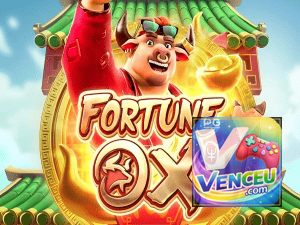 VENCEU BET login — painel de entrada no app oficial